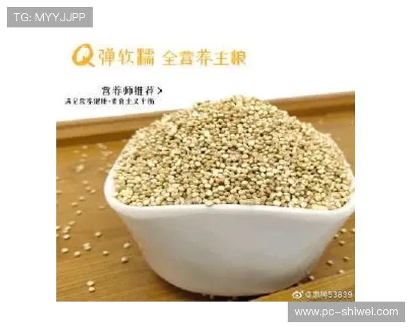 南宫电脑版官网用户注册与登录流程详细指南