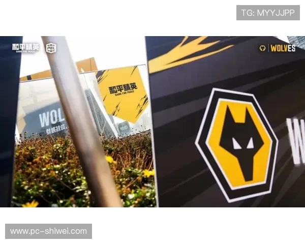 出奇体育官网携手多家体育俱乐部，打造专业化体育内容生态，助力体育事业蓬勃发展